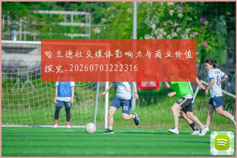 哈兰德社交媒体影响力与商业价值探究_20260703222316